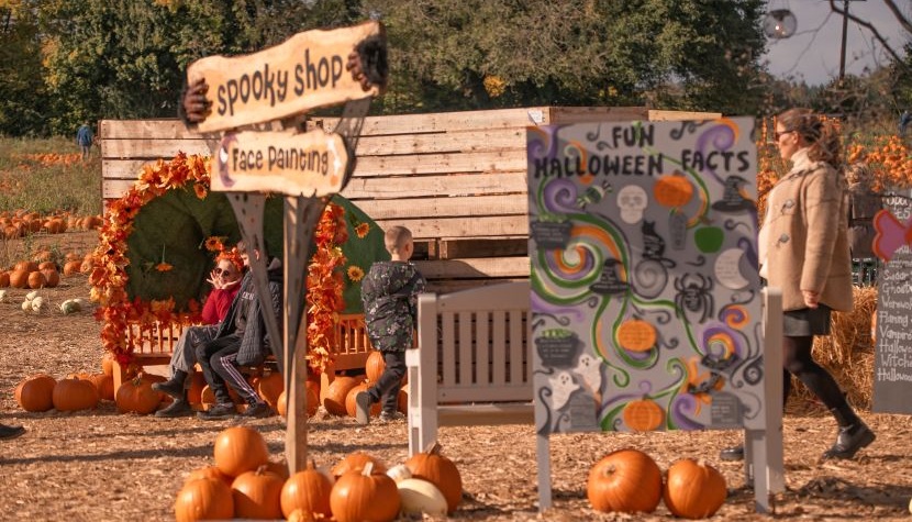 Rogate Pumpkin Patch